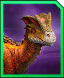 tenontorex.jpg