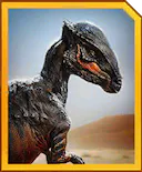 stegoceras.jpg