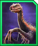 erlidominus.jpg