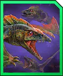 ardontognathus.jpg