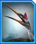 quetzalcoatlus.jpg