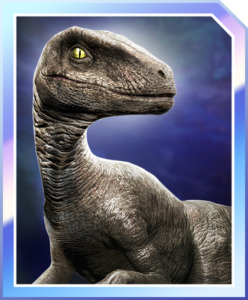 Clever-Girl-248x300.jpg