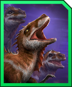 Thylos-intrepidus-248x300.jpg