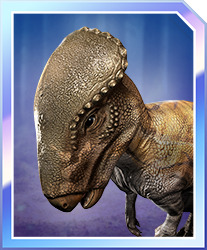 Homalocephale.jpg