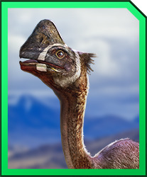Nomingia.jpg