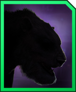PANTHERATOR-248x300.jpg