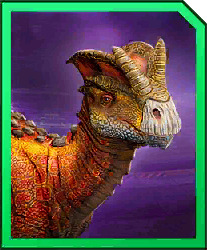 tenontorex.jpg