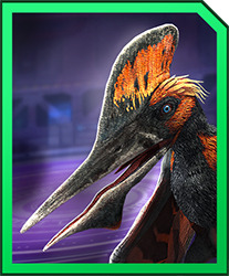Quetzaljara.jpg