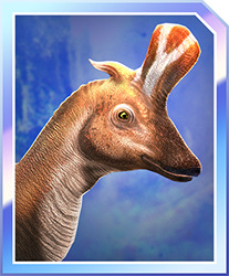 Lambeo_card.jpg
