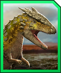 Rajado_card.jpg