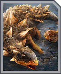 euoplocephalus.jpg