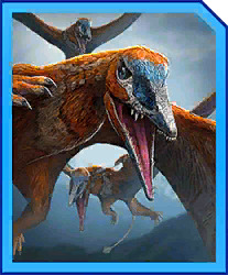 preondactylus.jpg