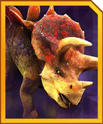 stegoceratops.jpg