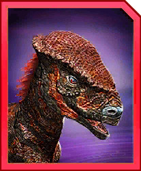 glyptoceras.jpg