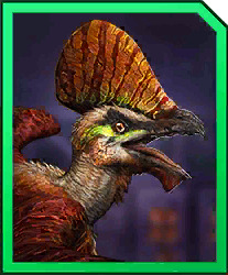 poukandactylus.jpg