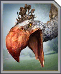 phorusrhacos.jpg