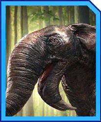 deinotherium.jpg