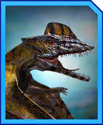 scaphognathus.jpg