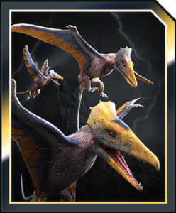 Alankydac_Card-248x300.jpg