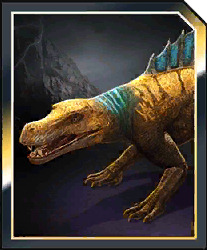 megalocevia.jpg