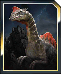 dilozorion.jpg